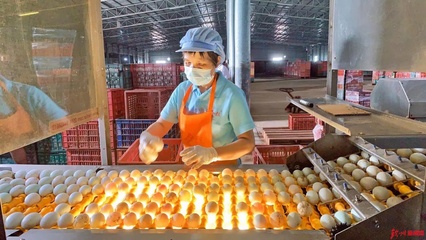 網(wǎng)眼看欽州|誠(chéng)信食品企業(yè)開放日，“零距離”感受放心食品
